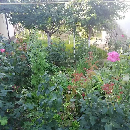 Apartament Sofia